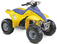 Read more about the article Hyosung Wow 50 Atv  Service Repair Manual